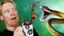 Photo Thumbnail of Best Snake Cafe in Tokyo